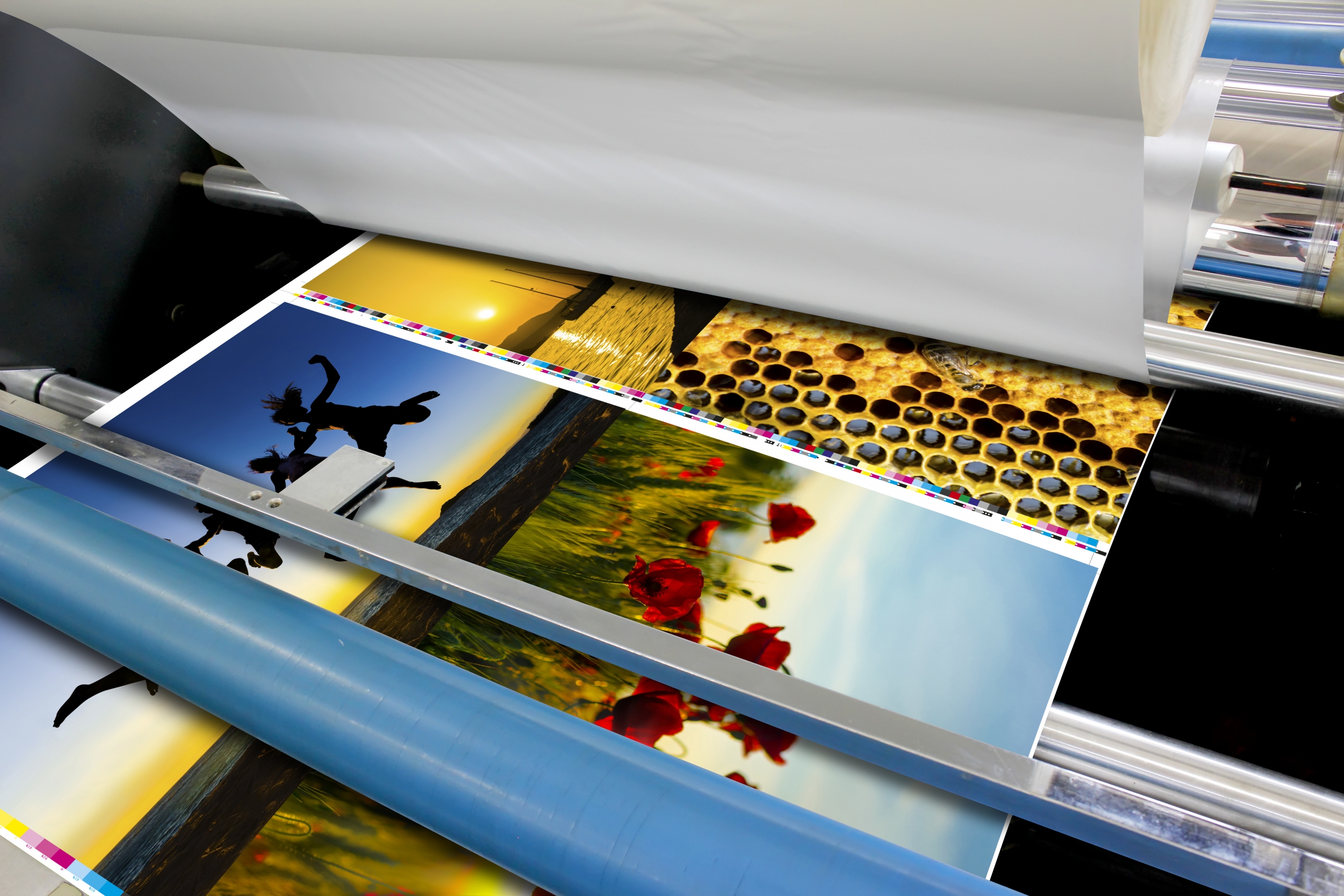 Make Your Business Recognizable: Label Printing In Carol Stream, IL